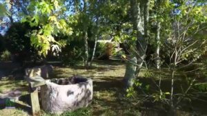 Jardin bien ombragé